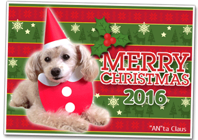 2016クリスマスカード01