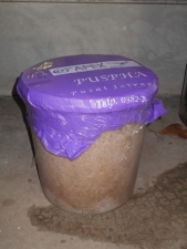ココナッツの搾りかすの発酵
