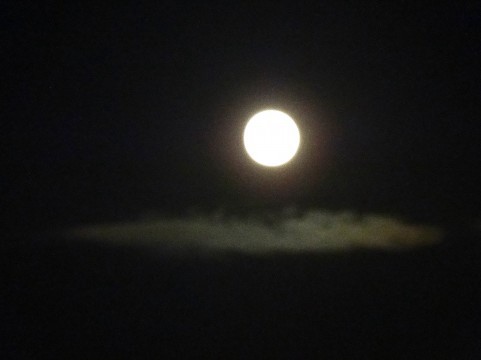 満月の月夜