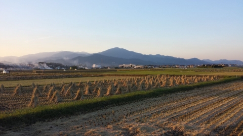 平塚市公所からの夕暮れの大山　田んぼでは稲刈りを終え秋を感じる