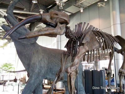 スリーエム仙台市科学館の恐竜化石