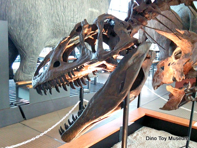 スリーエム仙台市科学館の恐竜化石