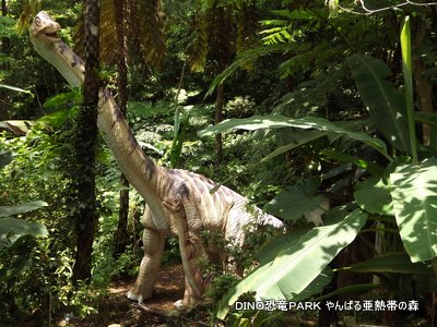 ＤＩＮＯ恐竜ＰＡＲＫ　やんばる亜熱帯の森