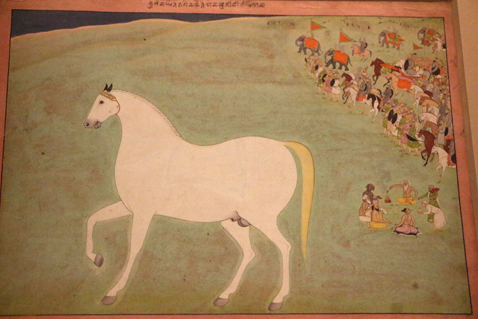 160410_Ashwamedha-horse.jpg