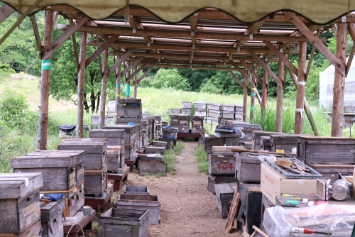 山田養蜂場 みつばち農園