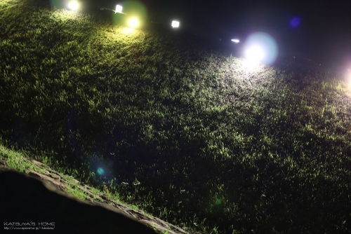 米子城跡ライトアップ