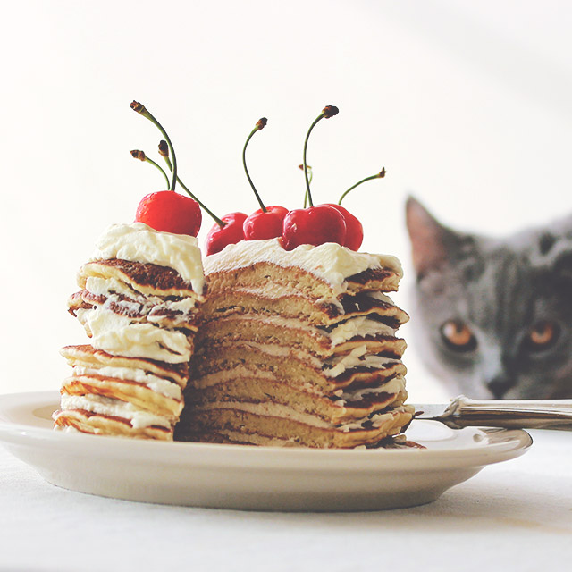 Pancake Tower & Cat