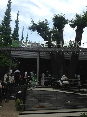 shake 2
