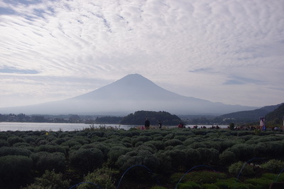富士五湖周辺観光スポット