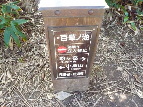 魚沼駒ヶ岳18