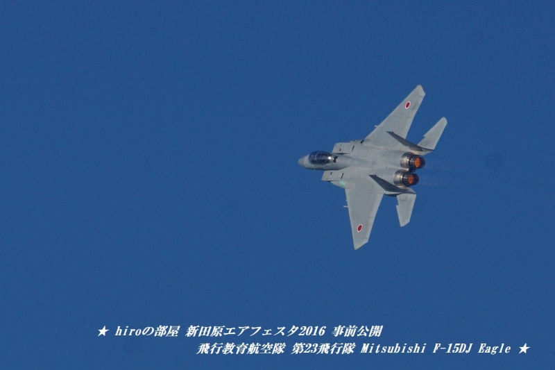 hiroの部屋　飛行教育航空隊 第23飛行隊 Mitsubishi F-15DJ Eagle