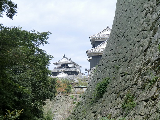 石垣と松山城リサイズ
