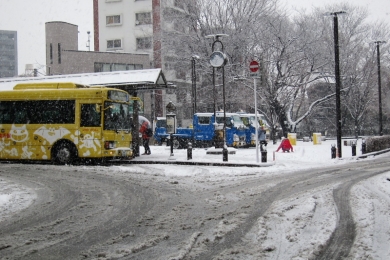 20150130の雪