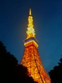 160611東京タワー1