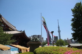 浅草寺の鯉のぼり０４